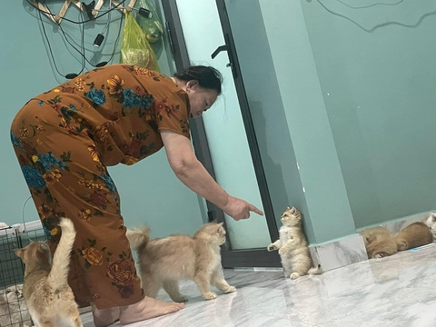 Ảnh vui 11-12: Cặp đôi ôm bom bỗng phát nổ thành... con - Ảnh 5. Ảnh vui 11-12: Cặp đôi ôm bom bỗng phát nổ thành... con - Ảnh 5.