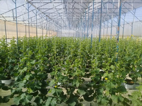 Khởi nghiệp với phế phẩm nông nghiệp - Ảnh 3. Khởi nghiệp với phế phẩm nông nghiệp - Ảnh 3.