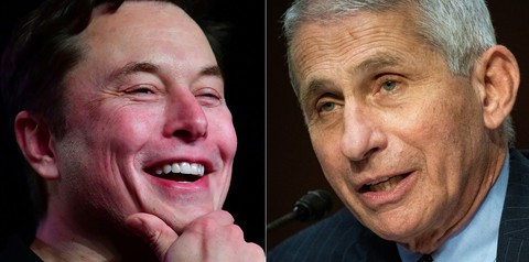 Elon Musk công kích chuyên gia chống dịch COVID-19 Anthony Fauci - Ảnh 1. Elon Musk công kích chuyên gia chống dịch COVID-19 Anthony Fauci - Ảnh 1.