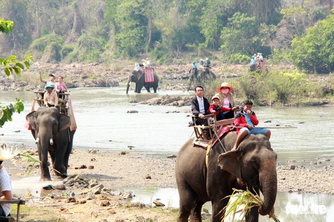 Để voi thong dong giữa rừng - Ảnh 5. Để voi thong dong giữa rừng - Ảnh 5.