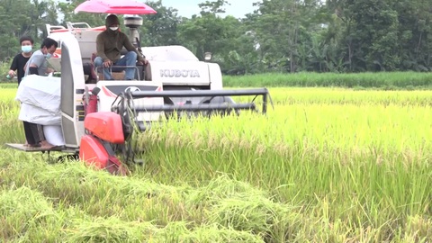 Thanh Hóa đứng thứ 7 cả nước về tăng trưởng tổng sản phẩm trên địa bàn năm 2022 - Ảnh 2. Thanh Hóa đứng thứ 7 cả nước về tăng trưởng tổng sản phẩm trên địa bàn năm 2022 - Ảnh 2.