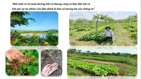 Mô hình nông nghiệp tuần hoàn và kết hợp du lịch sinh thái trải nghiệm nông nghiệp bền vững - Ảnh 1. Mô hình nông nghiệp tuần hoàn và kết hợp du lịch sinh thái trải nghiệm nông nghiệp bền vững - Ảnh 1.