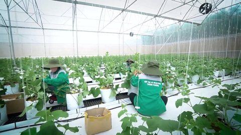 Những mảnh ghép tạo nên hệ sinh thái Thành Phương tại tỉnh Bình Phước - Ảnh 3. Những mảnh ghép tạo nên hệ sinh thái Thành Phương tại tỉnh Bình Phước - Ảnh 3.