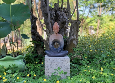 Chắp cánh khởi nghiệp xanh: Vườn chữa lành của Bờm - Ảnh 1. Chắp cánh khởi nghiệp xanh: Vườn chữa lành của Bờm - Ảnh 1.