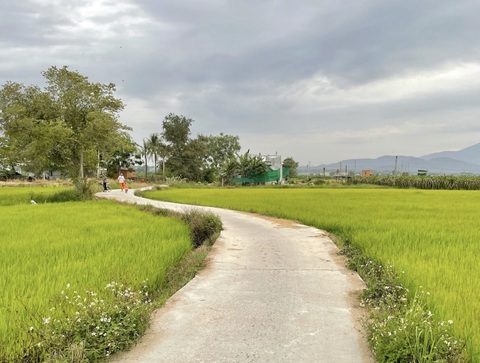 Chắp cánh khởi nghiệp xanh: Vườn chữa lành của Bờm - Ảnh 3. Chắp cánh khởi nghiệp xanh: Vườn chữa lành của Bờm - Ảnh 3.