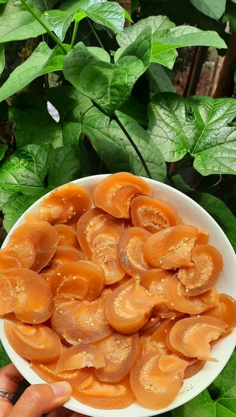 Nhớ thương vị cà dầm tương ngày Tết - Ảnh 2. Nhớ thương vị cà dầm tương ngày Tết - Ảnh 2.
