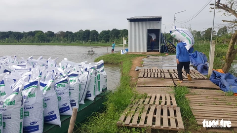 Toàn cảnh cá tra từ ương giống đến nuôi, xuất khẩu và chế biến lên bàn ăn - Ảnh 19. Toàn cảnh cá tra từ ương giống đến nuôi, xuất khẩu và chế biến lên bàn ăn - Ảnh 19.