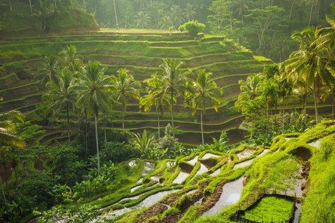 Bali - Thiên đường du lịch mang đậm bản sắc văn hóa Hindu - Ảnh 5. Bali - Thiên đường du lịch mang đậm bản sắc văn hóa Hindu - Ảnh 5.