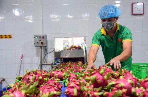 Thu nhập bình quân của người dân nông thôn Đồng Nai tăng hơn 7% - Ảnh 1. Thu nhập bình quân của người dân nông thôn Đồng Nai tăng hơn 7% - Ảnh 1.