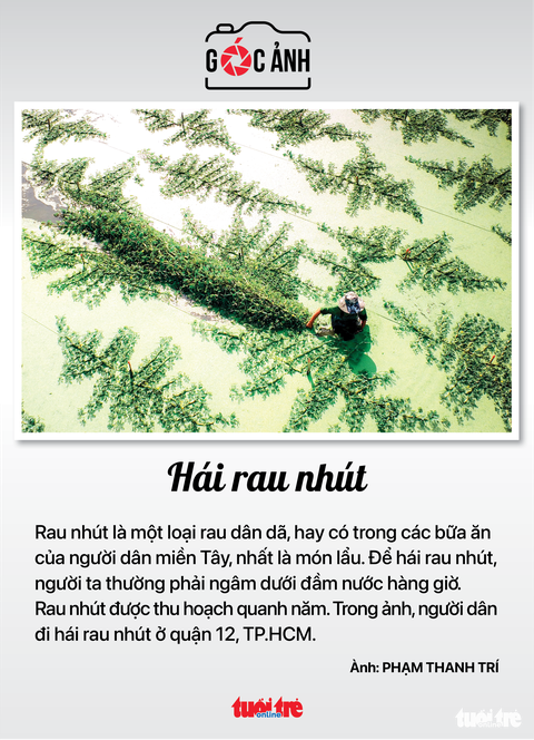 Tin tức sáng 16-12: Tết dương lịch thêm tàu đi Phan Thiết; Kêu gọi dân mang rác lên... phường - Ảnh 12. Tin tức sáng 16-12: Tết dương lịch thêm tàu đi Phan Thiết; Kêu gọi dân mang rác lên... phường - Ảnh 12.