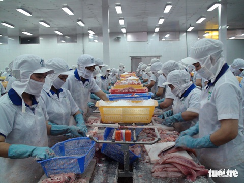 Cá tra cần hướng về thị trường nội địa, giảm áp lực xuất khẩu - Ảnh 2. Cá tra cần hướng về thị trường nội địa, giảm áp lực xuất khẩu - Ảnh 2.