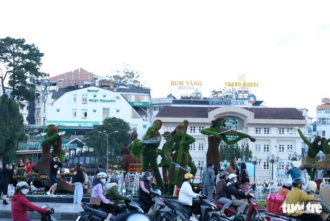 Đà Lạt dùng 500.000 chậu hoa trang điểm phố phường chờ khai mạc Festival Hoa - Ảnh 4. Đà Lạt dùng 500.000 chậu hoa trang điểm phố phường chờ khai mạc Festival Hoa - Ảnh 4.