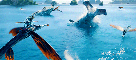 avatar 8 avatar 8