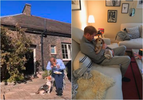 Bị đuổi khỏi nước Anh, Harry và Meghan phản ứng ra sao? - Ảnh 3. Bị đuổi khỏi nước Anh, Harry và Meghan phản ứng ra sao? - Ảnh 3.