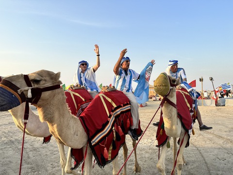Thư Qatar: Cưỡi lạc đà cùng cổ động viên Argentina - Ảnh 1. Thư Qatar: Cưỡi lạc đà cùng cổ động viên Argentina - Ảnh 1.