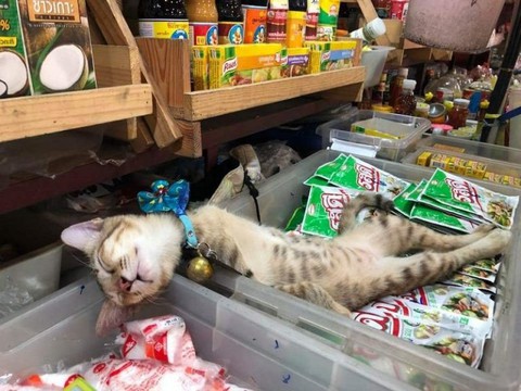 Ảnh vui 17-12: Anh Phú Lộc nhận lương 110.000 đồng khiến Tết dường như xa lắm - Ảnh 2. Ảnh vui 17-12: Anh Phú Lộc nhận lương 110.000 đồng khiến Tết dường như xa lắm - Ảnh 2.
