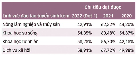 Có cách nào để cứu các ngành tuyển sinh kém? - Ảnh 3. Có cách nào để cứu các ngành tuyển sinh kém? - Ảnh 3.