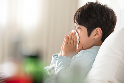 Miễn dịch khỏe - khi phòng bệnh hơn chữa bệnh - Ảnh 3. Miễn dịch khỏe - khi phòng bệnh hơn chữa bệnh - Ảnh 3.