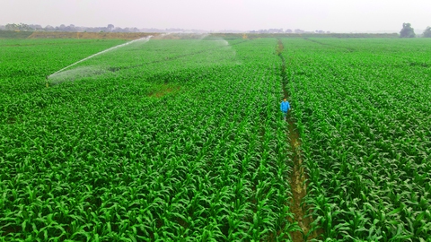 Vai trò doanh nghiệp về vận dụng kinh tế tuần hoàn, ứng phó với biến đổi khí hậu - Ảnh 3. Vai trò doanh nghiệp về vận dụng kinh tế tuần hoàn, ứng phó với biến đổi khí hậu - Ảnh 3.