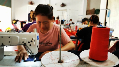 Phản hồi 19-12: Bỏ đề cương, bài mẫu chỉ giải quyết phần ngọn?, phần gốc là gì? - Ảnh 1. Phản hồi 19-12: Bỏ đề cương, bài mẫu chỉ giải quyết phần ngọn?, phần gốc là gì? - Ảnh 1.