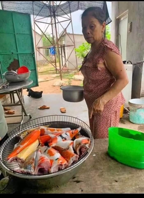 Ảnh vui 2-12: Chú chó hổng ai mượn vẫn hỗ trợ nhiệt tình đồng bọn - Ảnh 6. Ảnh vui 2-12: Chú chó hổng ai mượn vẫn hỗ trợ nhiệt tình đồng bọn - Ảnh 6.