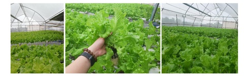 Nhiều dự án khởi nghiệp xanh tạo ấn tượng trước các quỹ đầu tư lớn - Ảnh 3. Nhiều dự án khởi nghiệp xanh tạo ấn tượng trước các quỹ đầu tư lớn - Ảnh 3.