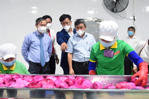 Đồng Nai có lợi thế phát triển các vùng sản xuất hàng hóa lớn - Ảnh 2. Đồng Nai có lợi thế phát triển các vùng sản xuất hàng hóa lớn - Ảnh 2.