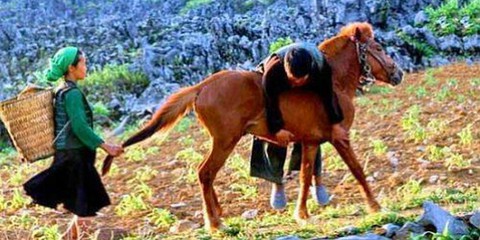 Muôn cách đưa các quý ông say xỉn không biết trời đất là gì về nhà - Ảnh 3. Muôn cách đưa các quý ông say xỉn không biết trời đất là gì về nhà - Ảnh 3.