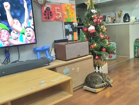 Ảnh vui 21-12: Ông già Noel kiểu độc lạ Bình Dương - Ảnh 3. Ảnh vui 21-12: Ông già Noel kiểu độc lạ Bình Dương - Ảnh 3.