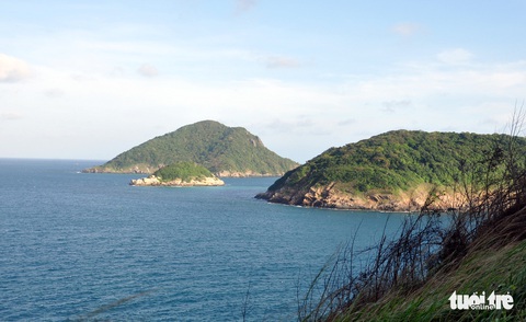 Côn Đảo - ‘ngôi nhà’ an toàn của rùa biển - Ảnh 5. Côn Đảo - ‘ngôi nhà’ an toàn của rùa biển - Ảnh 5.