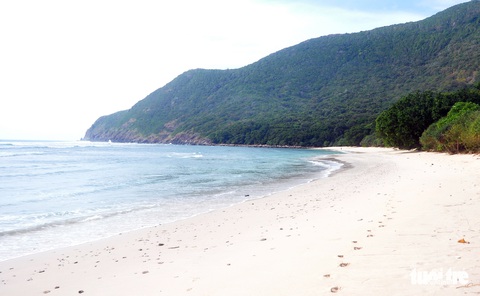 Côn Đảo - ‘ngôi nhà’ an toàn của rùa biển - Ảnh 4. Côn Đảo - ‘ngôi nhà’ an toàn của rùa biển - Ảnh 4.