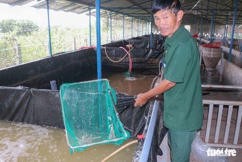 Cựu chiến binh hái quả ngọt trên vùng đất khó Ninh Thuận - Ảnh 1. Cựu chiến binh hái quả ngọt trên vùng đất khó Ninh Thuận - Ảnh 1.