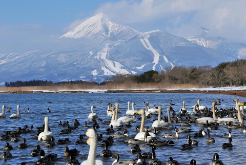 Đến với những trải nghiệm vô tận tại Fukushima! - Ảnh 3. Đến với những trải nghiệm vô tận tại Fukushima! - Ảnh 3.