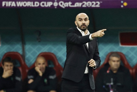 World Cup 2022: Khi HLV bản địa lên ngôi - Ảnh 1. World Cup 2022: Khi HLV bản địa lên ngôi - Ảnh 1.