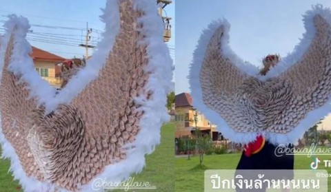 Chi 1,3 tỉ đồng làm đôi cánh thiên thần bằng tiền thật tặng người yêu - Ảnh 2. Chi 1,3 tỉ đồng làm đôi cánh thiên thần bằng tiền thật tặng người yêu - Ảnh 2.