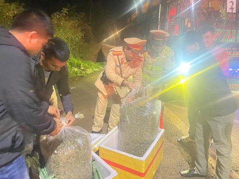 4 người lập đường dây trồng cần sa và mua bán qua Facebook - Ảnh 1. 4 người lập đường dây trồng cần sa và mua bán qua Facebook - Ảnh 1.
