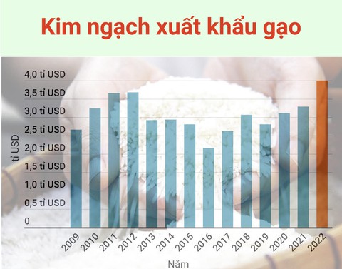 Gạo thơm vượt 1.000 USD/tấn, xuất khẩu gạo Việt Nam đạt kỷ lục 7 triệu tấn - Ảnh 2. Gạo thơm vượt 1.000 USD/tấn, xuất khẩu gạo Việt Nam đạt kỷ lục 7 triệu tấn - Ảnh 2.