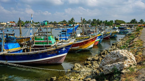 Báo Mỹ đánh giá Đà Lạt, vịnh Lan Hạ là những kho báu tiềm ẩn của châu Á - Ảnh 15. Báo Mỹ đánh giá Đà Lạt, vịnh Lan Hạ là những kho báu tiềm ẩn của châu Á - Ảnh 15.