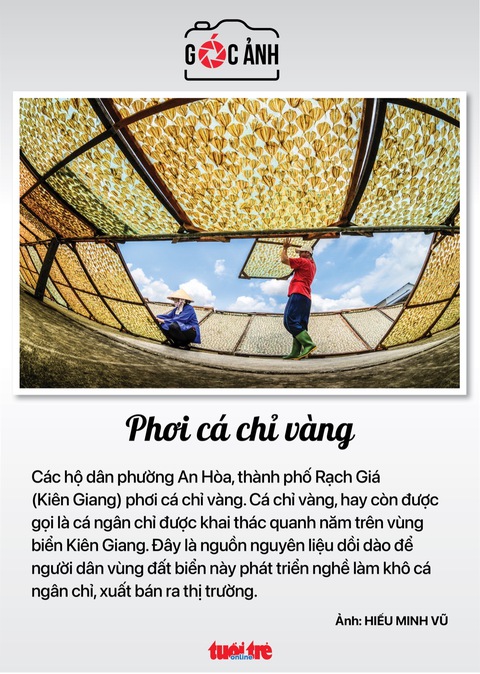 Tin tức sáng 23-12: Một năm phạt 2,8 triệu người vi phạm giao thông; Sắp khai thác thử metro TP.HCM - Ảnh 6. Tin tức sáng 23-12: Một năm phạt 2,8 triệu người vi phạm giao thông; Sắp khai thác thử metro TP.HCM - Ảnh 6.