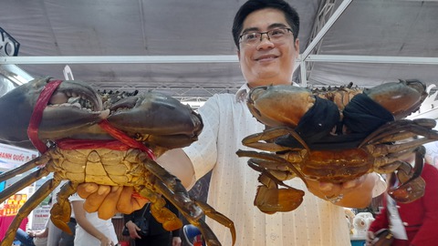 Trao giải thưởng cho cua biển lớn nhất Cà Mau nặng gần 1,5kg - Ảnh 1. Trao giải thưởng cho cua biển lớn nhất Cà Mau nặng gần 1,5kg - Ảnh 1.