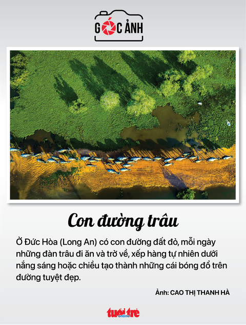 Tin tức sáng 25-12: Tổng giáo phận TP.HCM kêu gọi giáo dân thực thi bác ái; FUMANBREAK chứa chất cấm - Ảnh 9. Tin tức sáng 25-12: Tổng giáo phận TP.HCM kêu gọi giáo dân thực thi bác ái; FUMANBREAK chứa chất cấm - Ảnh 9.