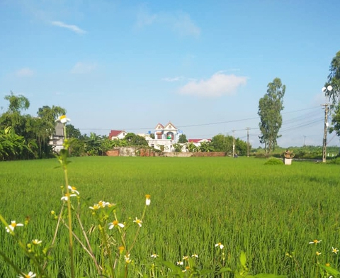 Bán cả chục lô đất không qua đấu giá, cựu chủ tịch và địa chính xã bị bắt - Ảnh 1. Bán cả chục lô đất không qua đấu giá, cựu chủ tịch và địa chính xã bị bắt - Ảnh 1.