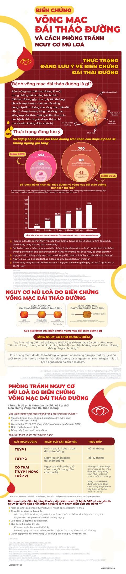 Phòng tránh nguy cơ mù lòa ở bệnh nhân đái tháo đường - Ảnh 1. Phòng tránh nguy cơ mù lòa ở bệnh nhân đái tháo đường - Ảnh 1.