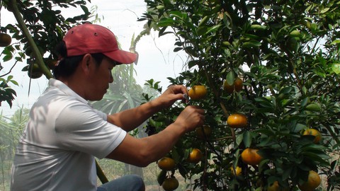 Tin tức sáng 27-12: Tổng kiểm tra hoạt động đăng kiểm toàn quốc; Báo động trẻ hút thuốc lá điện tử - Ảnh 4. Tin tức sáng 27-12: Tổng kiểm tra hoạt động đăng kiểm toàn quốc; Báo động trẻ hút thuốc lá điện tử - Ảnh 4.