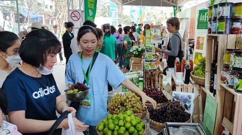 Lễ hội đặc sản Tết với chả rươi, hồng Đà Lạt... ở tòa nhà cao nhất Việt Nam - Ảnh 8. Lễ hội đặc sản Tết với chả rươi, hồng Đà Lạt... ở tòa nhà cao nhất Việt Nam - Ảnh 8.