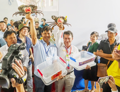 Nuôi cua... đua - Ảnh 4. Nuôi cua... đua - Ảnh 4.