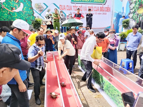 Nuôi cua... đua - Ảnh 5. Nuôi cua... đua - Ảnh 5.