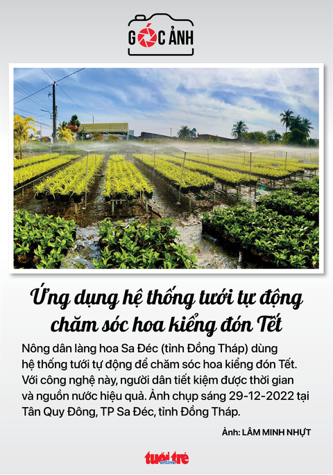Tin tức sáng 30-12: Số ca COVID-19 tăng gấp đôi; Gần 8.000 doanh nghiệp TP.HCM khuyến mãi Tết - Ảnh 7. Tin tức sáng 30-12: Số ca COVID-19 tăng gấp đôi; Gần 8.000 doanh nghiệp TP.HCM khuyến mãi Tết - Ảnh 7.