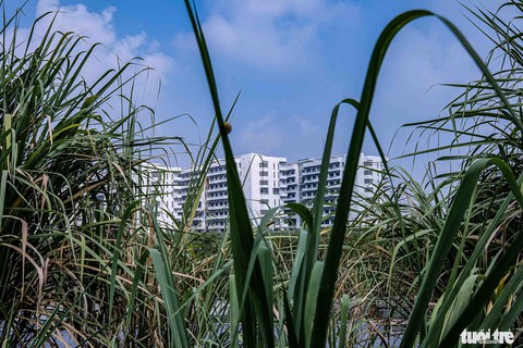 Việt Nam 2022: Những hình ảnh ấn tượng - Ảnh 24. Việt Nam 2022: Những hình ảnh ấn tượng - Ảnh 24.