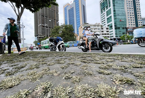 Hậu lễ hội Không gian văn hóa ẩm thực, thảm cỏ công viên bến Bạch Đằng tan hoang - Ảnh 3. Hậu lễ hội Không gian văn hóa ẩm thực, thảm cỏ công viên bến Bạch Đằng tan hoang - Ảnh 3.
